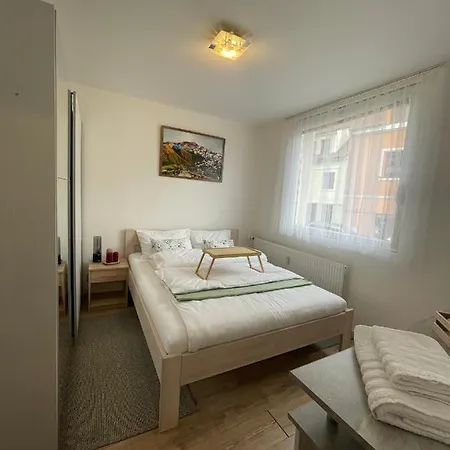 アパート Beroun Apartments ベロウン