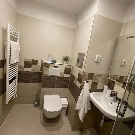 Beroun Apartments アパート *