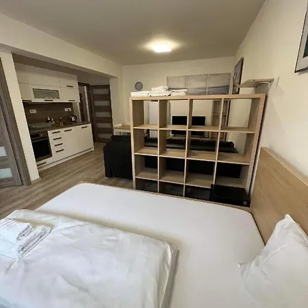 Beroun Apartments アパート